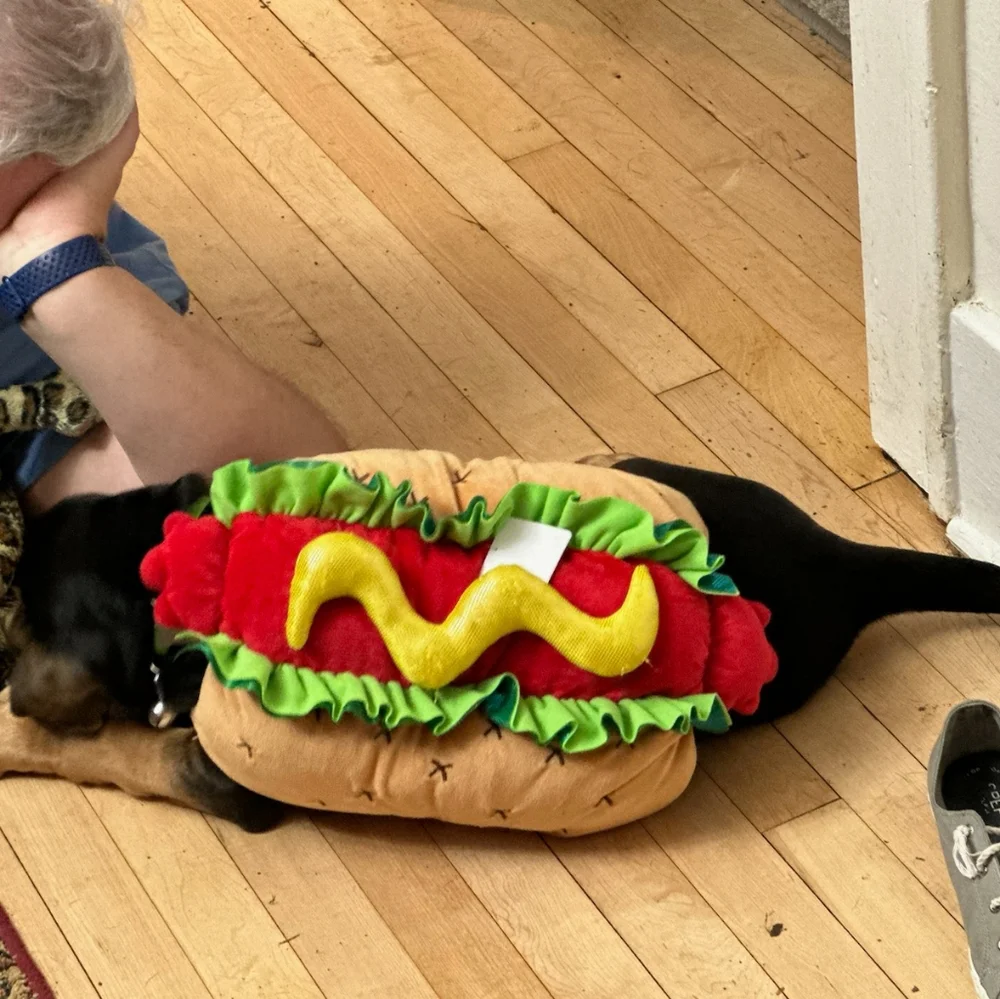 Trail & Noses Hot Dog Costume for Your Dog Size Medium - Picture 7 of 8